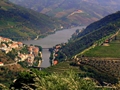 Alto Douro (Weinregion)